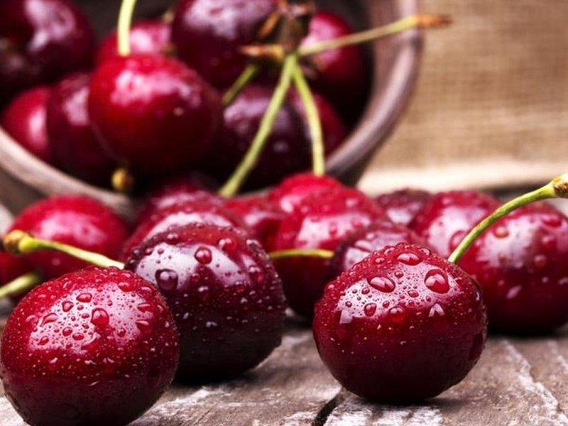 Вишня купить саженцы из питомника в Котласе